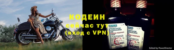 дживик Богородск