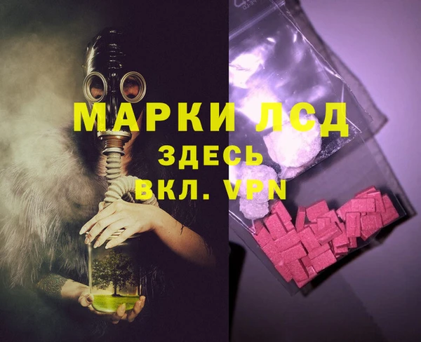 мяу мяу мука Белокуриха