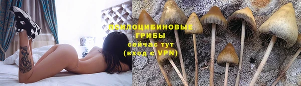 ECSTASY Беломорск