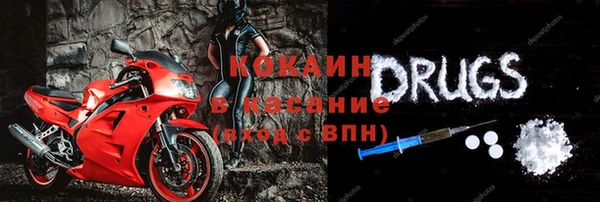 дживик Богородск
