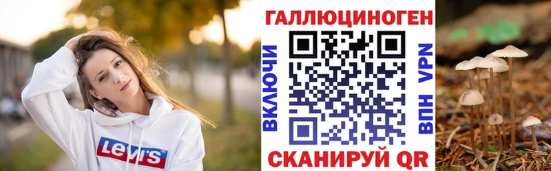 Галлюциногенные грибы Psilocybe  блэк спрут ссылки  Ивангород  наркотики 