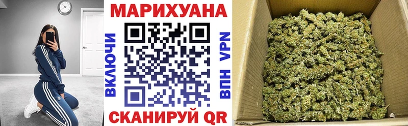 Бошки Шишки планчик  Ивангород 